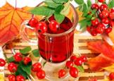 Рецепты витаминных чаев